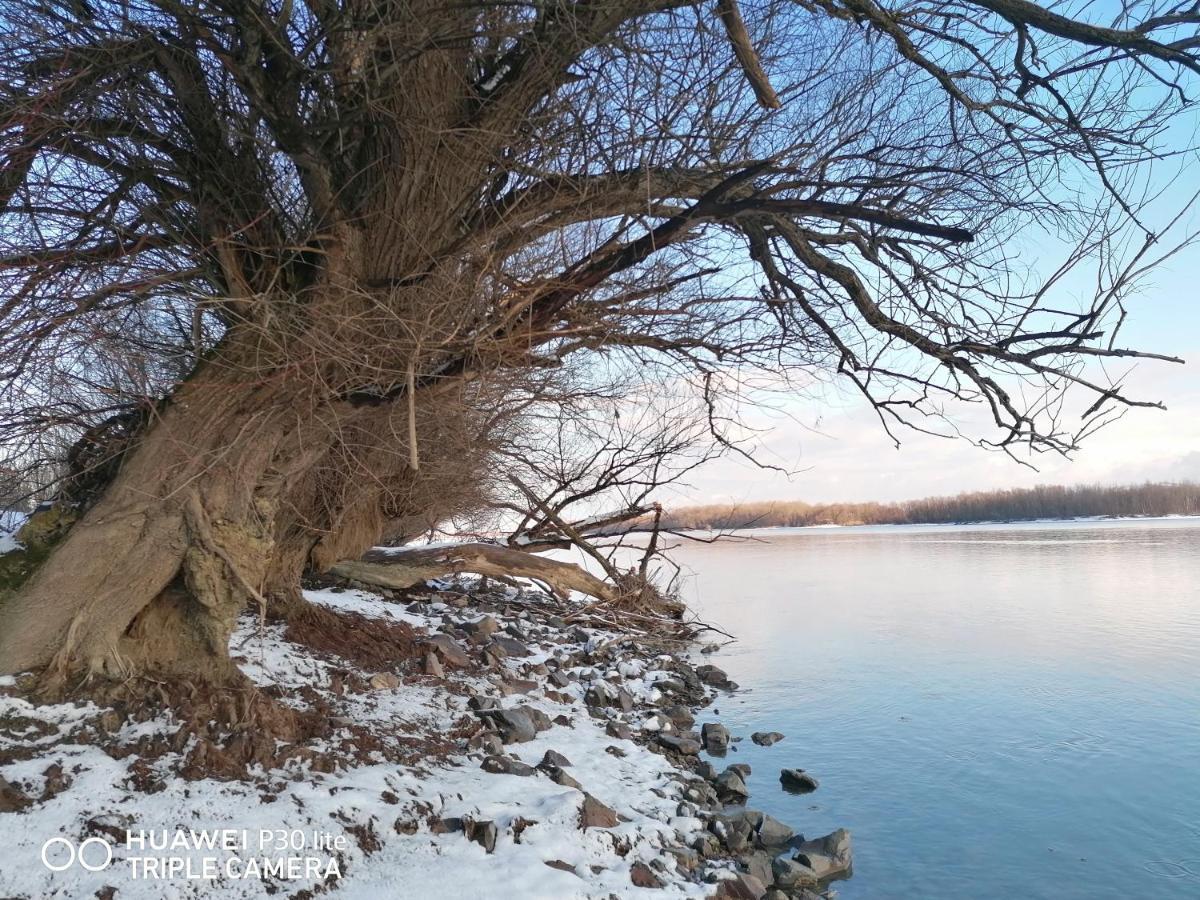 Captain'S House By The Danube River Cerevic Екстер'єр фото